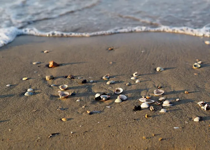 In A With Private Garden Апартаменты Бибионе